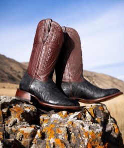 Happytruth.shopcc11015301 2